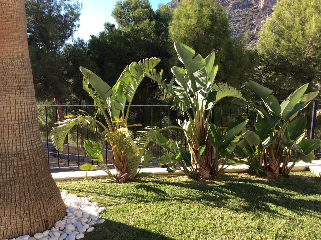 Olivos Holiday Home Altea Habitación foto